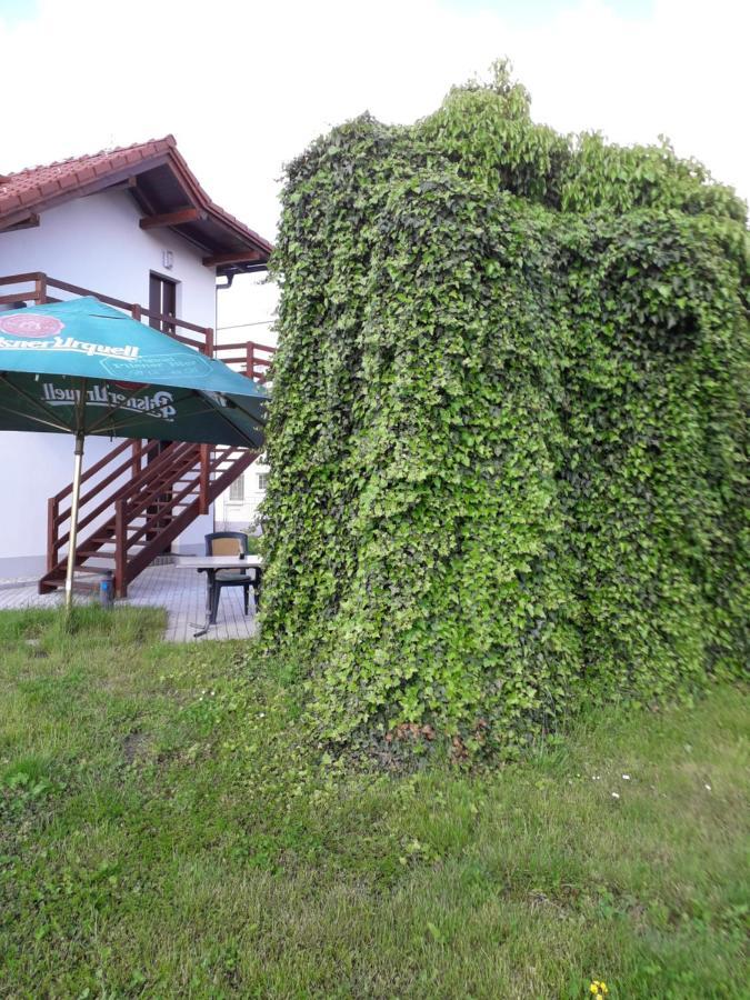 קלאטובי Penzion A Restaurace U Strnada מראה חיצוני תמונה